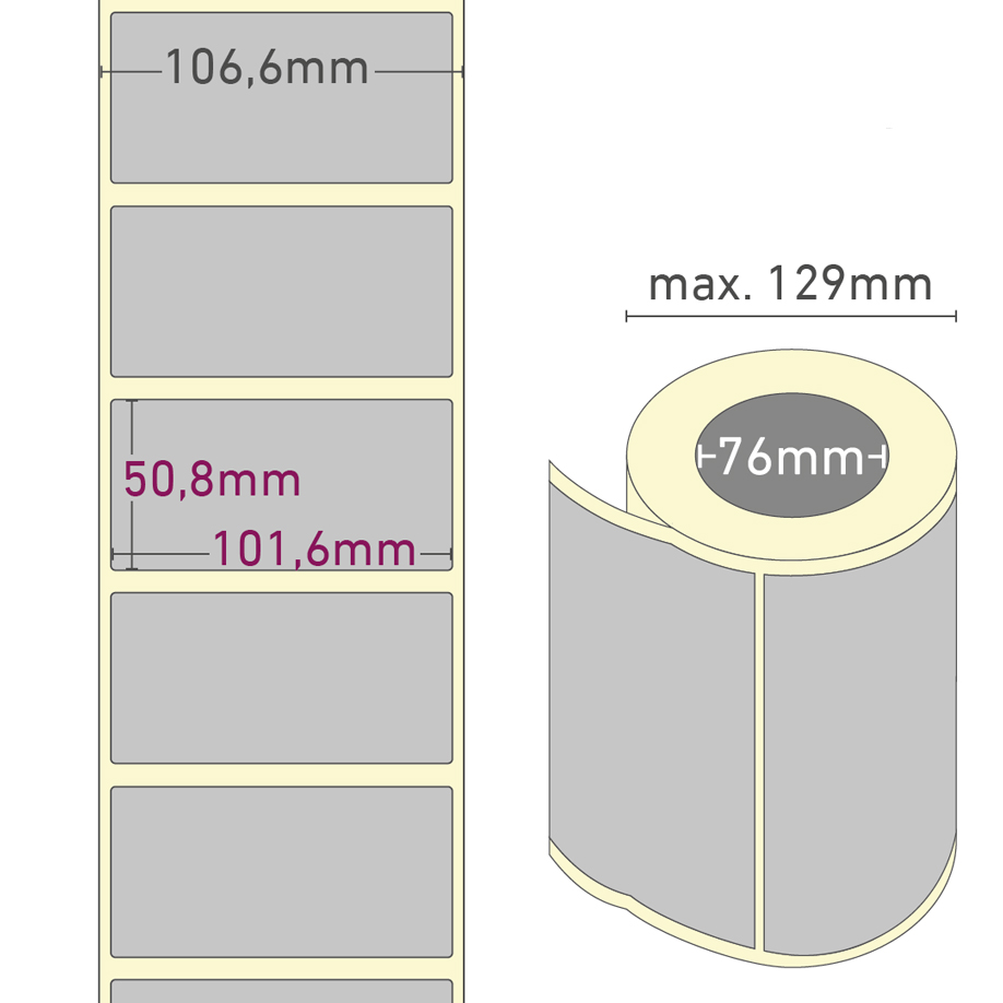 610648_PET.jpg